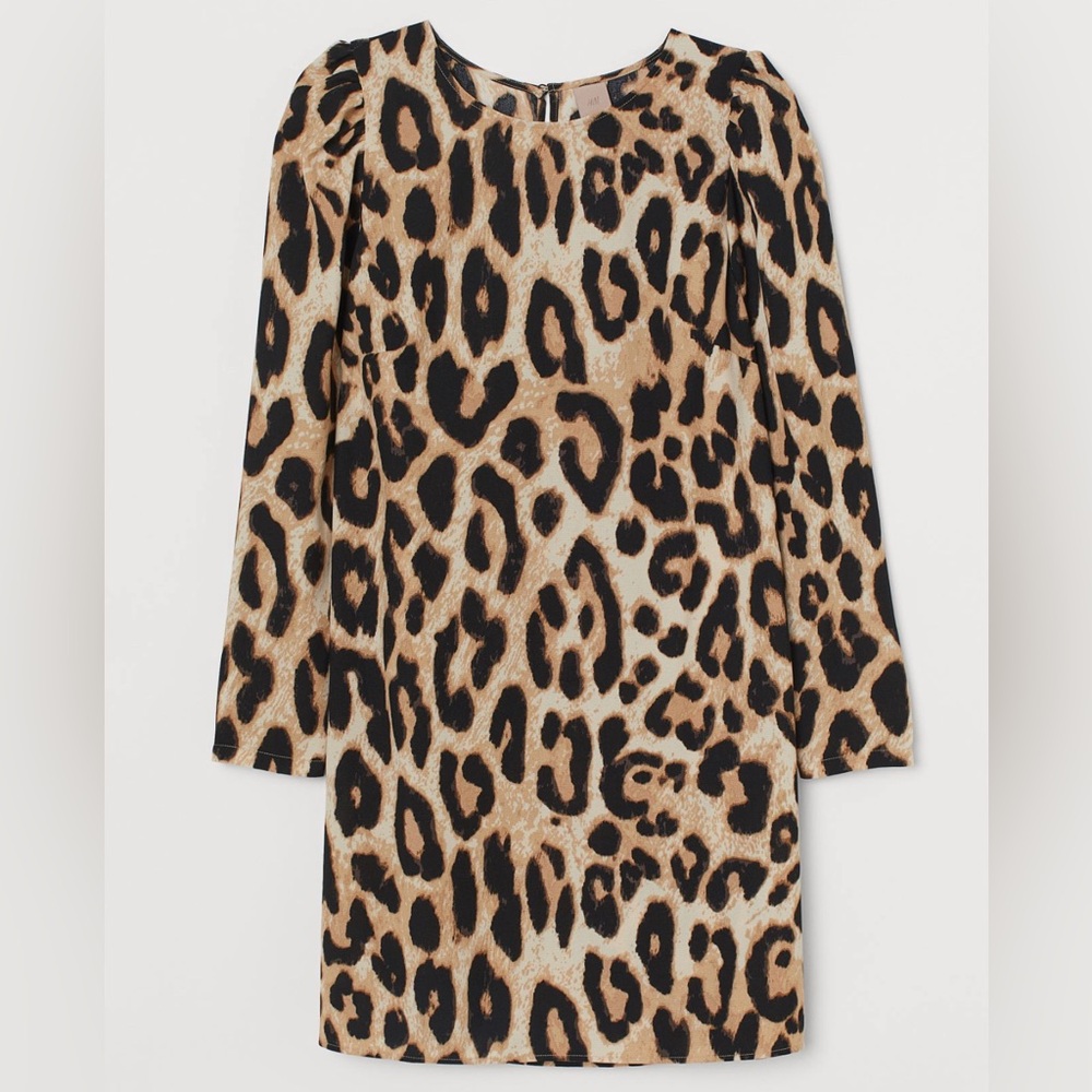 H+M Puffed-sleeve Dress